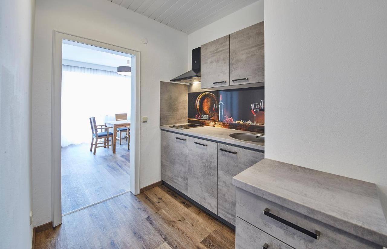 Appartements Haus Alexander 萨尔巴赫 外观 照片