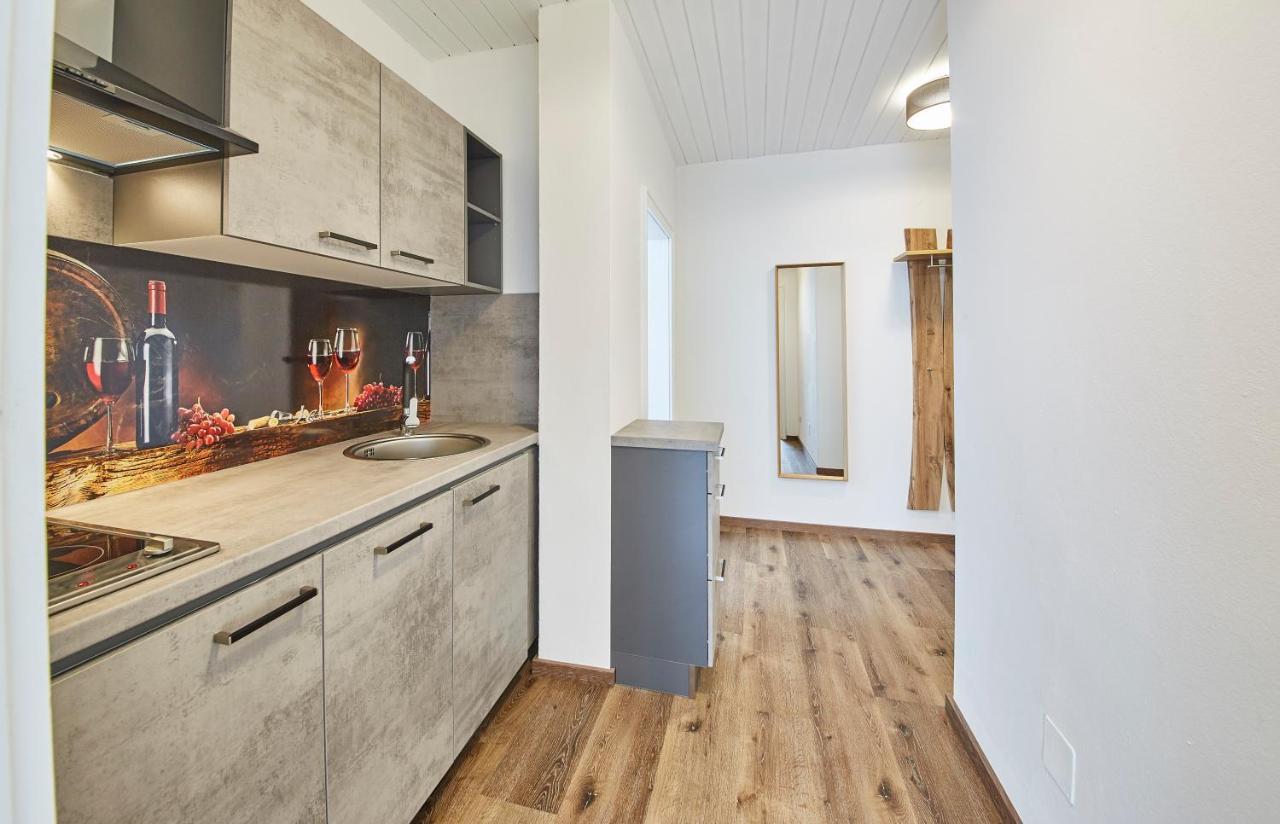 Appartements Haus Alexander 萨尔巴赫 外观 照片